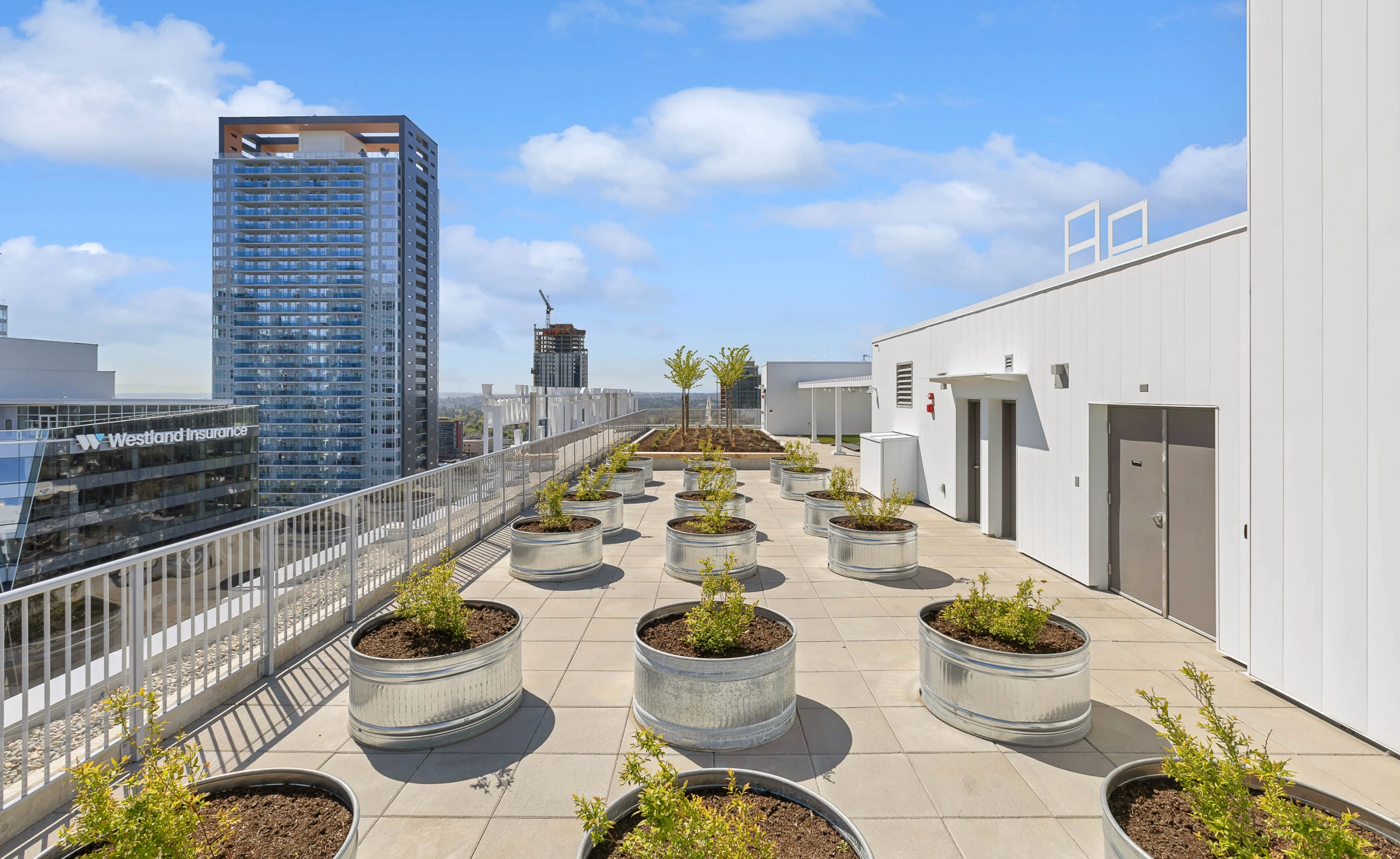 Amenities
