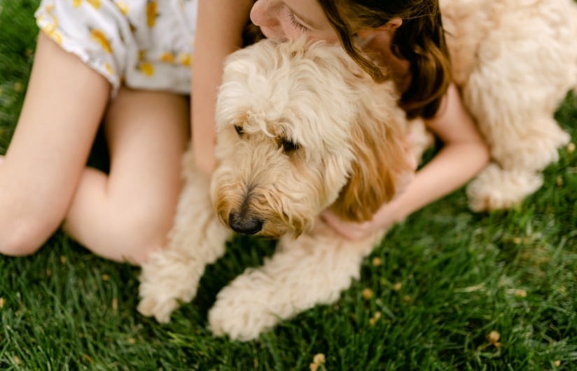 Community Dog